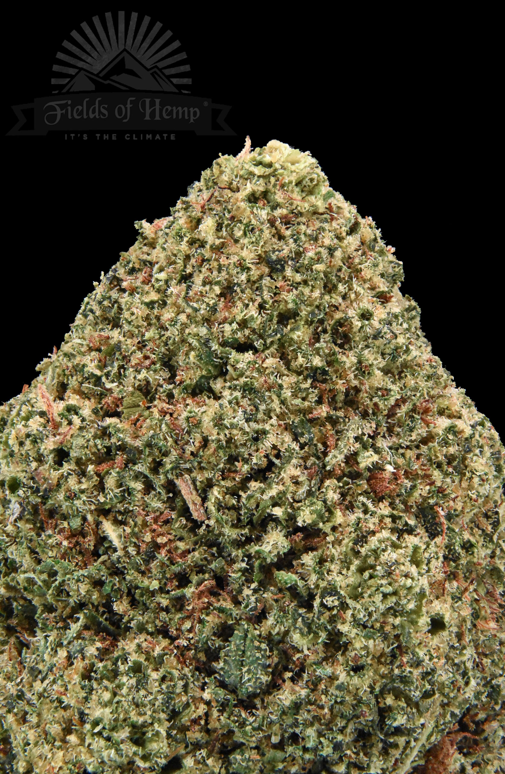 Bubba Kush - Image 3