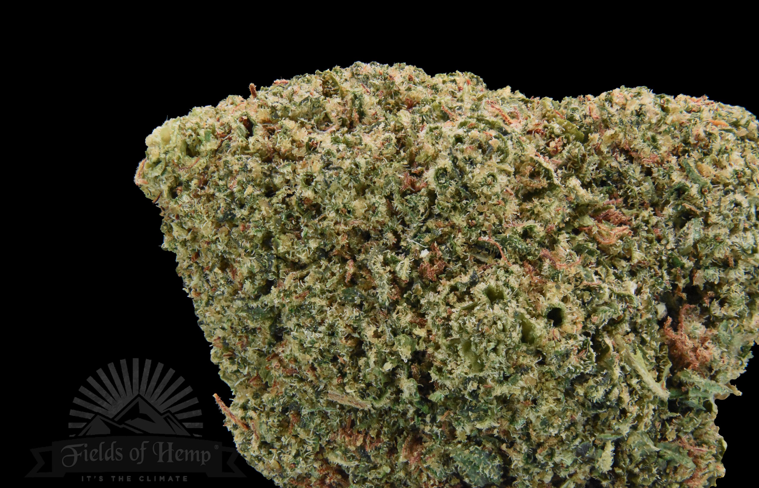 Bubba Kush - Image 2
